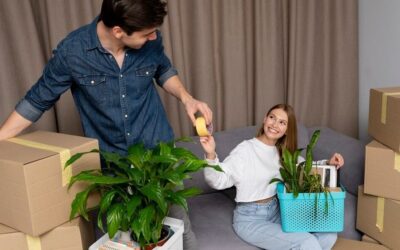 Small Changes That Make a Rental Feel Like Home